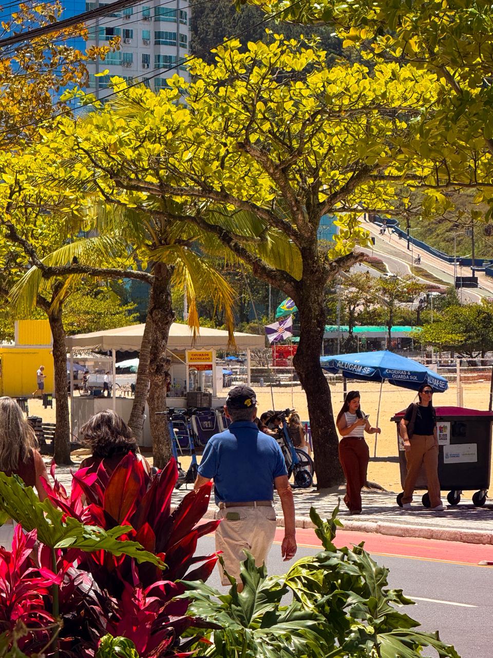 Pontal Norte Balneário Camboriú