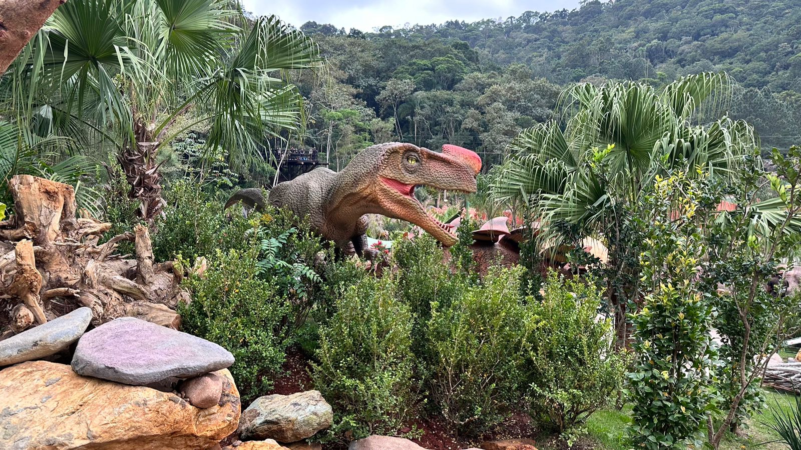 Aventura Jurassica Balneário Camboriú